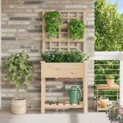 vidaXL Trädgårdsplanterare Beige 71 x 38 x 152 cm Massivt granträd
