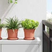 vidaXL Rund Blomkruka 6 pcs Murgrön Ø 15 x 12 cm Plast