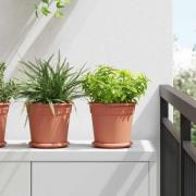 vidaXL Rund Blomkruka 24 pcs Murgrön Ø 19 x 16 cm Plast