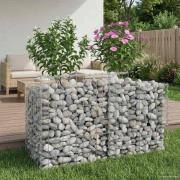 vidaXL Gabion upphöjd säng Silver 100 x 50 x 60 cm Galvaniserat Stål
