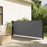 vidaXL Utdragbar sidomarkis antracit 100x500 cm