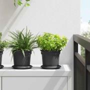 vidaXL Rund Blomkruka 6 pcs Svart Ø 14 x 2 cm Plast
