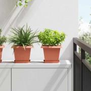 vidaXL Fyrkantig Blomkruka 24 pcs Murgrön 15 x 15 x 2 cm Plast