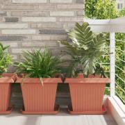 vidaXL Fyrkantig Blomkruka 24 pcs Murgrön 36 x 36 x 2.5 cm Plast