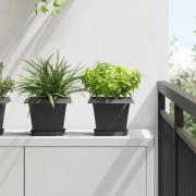 vidaXL Fyrkantig Blomkruka 24 pcs Svart 15 x 15 x 2 cm Plast