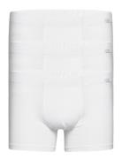 Jockey Trunk 3-P C+ Vit