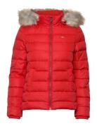 Tommy Jeans Tjw Basic Hooded Down Jacket Röd