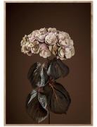 Majestically Brown Home Decoration Posters & Frames Posters Botanical ...