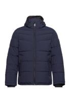 Tom Tailor Puffer Jacket With Hood Marinblå