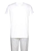 GANT Stripe Pj Pants And T-Shirt Gb Vit