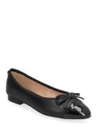 Steve Madden Ellison Svart