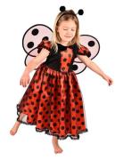 Ladybug Costume Toys Costumes & Accessories Character Costumes Red Den...