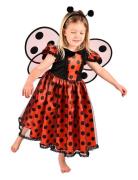 Ladybug Costume Toys Costumes & Accessories Character Costumes Red Den...