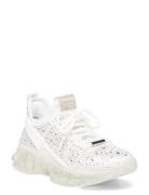 Steve Madden Maxima-R Sneaker Vit