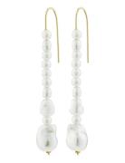 Pilgrim Willpower Pearl Earrings Vit