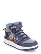 Paw Patrol Paw Patrol High Sneaker Multi/patterned