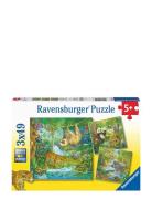 Ravensburger In The Jungle 3X49P Multi/patterned