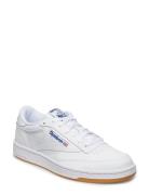 Reebok Classics Club C 85 Vit