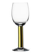 Nobel Wine 20Cl Home Tableware Glass Wine Glass Red Wine Glasses Gold ...