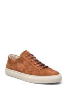 Polo Ralph Lauren Jermain Suede Sneaker Brun