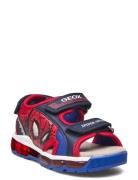 GEOX J Sandal Android Boy Multi/patterned