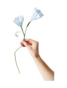 Paper Flower, Morning Glory Home Decoration Paper Flowers Blue Studio ...