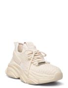 Steve Madden Project Sneaker Kräm