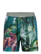 Jurassic World Swimming Shorts Multi/patterned