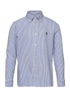 Ralph Lauren Kids Slim Striped Oxford Shirt Blå