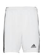 Adidas Performance Squadra 21 Short Vit