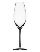 Difference Sparkling 32Cl Home Tableware Glass Champagne Glass Nude Or...