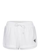 Adidas Performance Club Shorts Vit