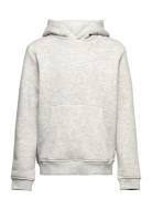 Kronstadt Lars Kids "It's Organic" Hoodie Grå