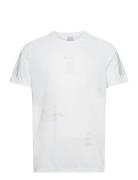 Adidas Performance Mftp Tee M Vit