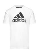 Adidas Sportswear Lk Bl Co Tee Vit