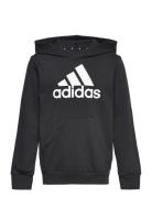 Adidas Performance Lk Bl Ft Hd Svart