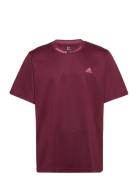 Adidas Sportswear Bl Mesh T Q3 Burgundy