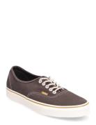 VANS Authentic Brun