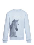 Tom Tailor Artwork Sweatshirt Blå