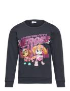 Name It Nmfoditte Pawpatrol Sweat Bru Cplg Marinblå