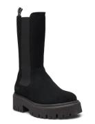 Bianco Biagarbi High Chelsea Boot Suede Warmline Svart