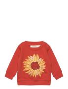 Soft Gallery Sgbbuzz Sunflower Sweatshirt Orange