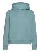 Calvin Klein Jeans Institutional Regular Hoodie Blå