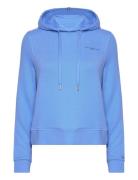 Tommy Hilfiger 1985 Reg Mini Corp Logo Hoodie Blå