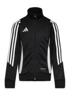 Adidas Performance Tiro24 Trjkty Svart