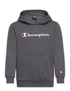 Champion Hooded Sweatshirt Grå