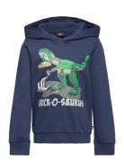 LEGO Kidswear Lwstorm 714 - Sweatshirt Marinblå