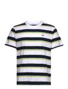 Tom Tailor Striped T-Shirt Vit