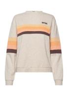 Rip Curl Surf Revival Panelled Crew Beige