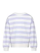 Mango Striped Cotton-Blend Sweatshirt Lila